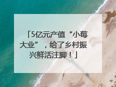 5亿元产值“小莓大业”，给了乡村振兴鲜活注脚！