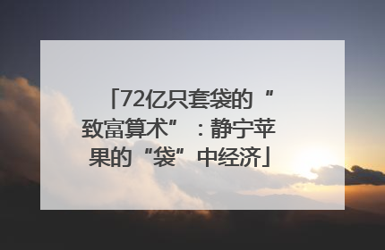 72亿只套袋的“致富算术”：静宁苹果的“袋”中经济