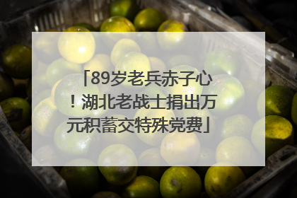 89岁老兵赤子心！湖北老战士捐出万元积蓄交特殊党费