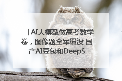 AI大模型做高考数学卷，图像题全军覆没 国产AI豆包和DeepSeek均得分144