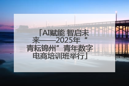 AI赋能 智启未来——2025年“青耘锦州”青年数字电商培训班举行