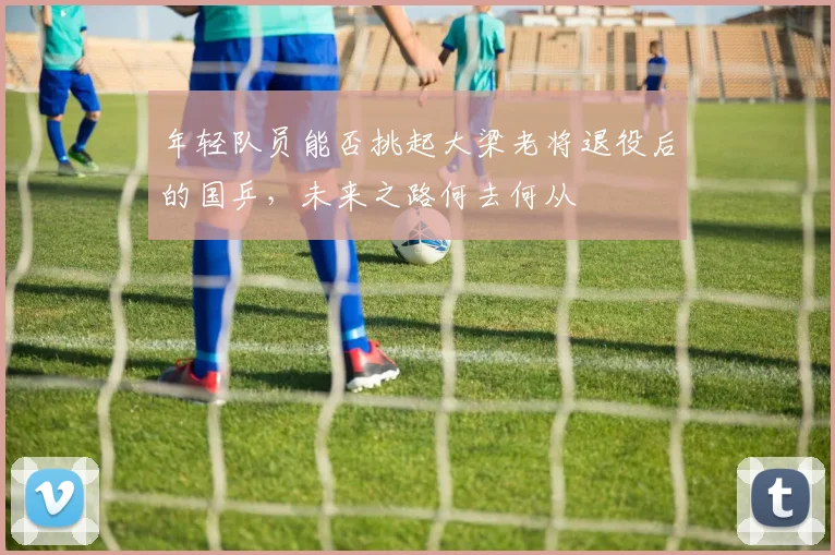 年轻队员能否挑起大梁老将退役后的国乒,未来之路何去何从