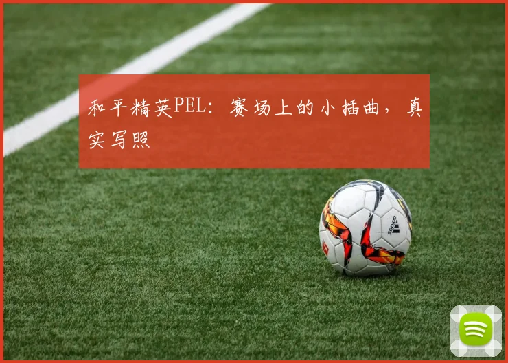 和平精英PEL:赛场上的小插曲,真实写照