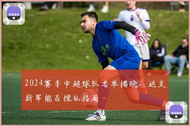 2024赛季中超球队名单揭晓,这支新军能否搅乱格局